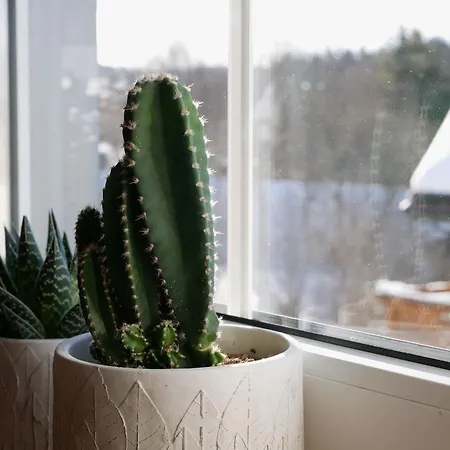 Oskar's Appartement Hinterzarten