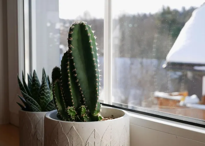 Oskar's 公寓 欣特察尔滕